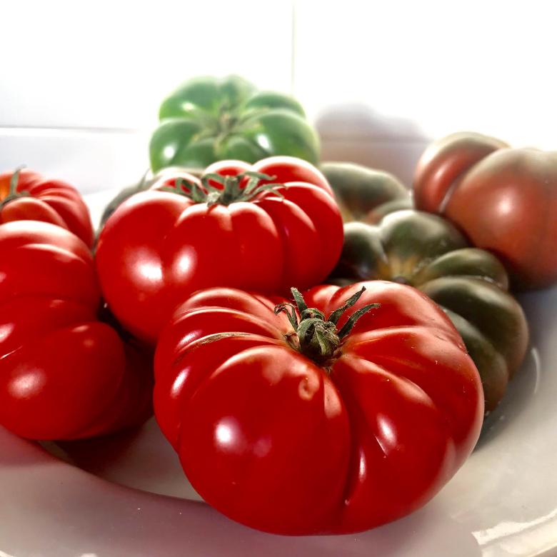 Tomate de Almería, Productos ecológicos